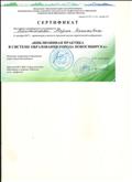 Сертификат об участии в городской научно-практической конференции "Инклюзивная практика в системе образования города Новосибирска" 2017г. Сертификат об участии в городской научно-практической конференции "Инклюзивная практика в системе образования города Новосибирска" 2017г.